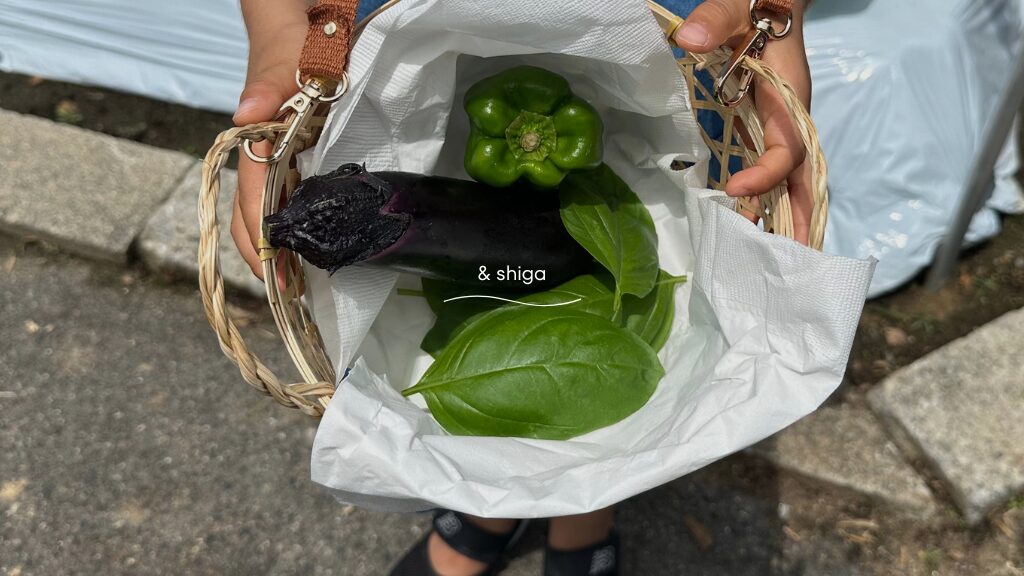 シンビオシスファームで夏野菜の収穫