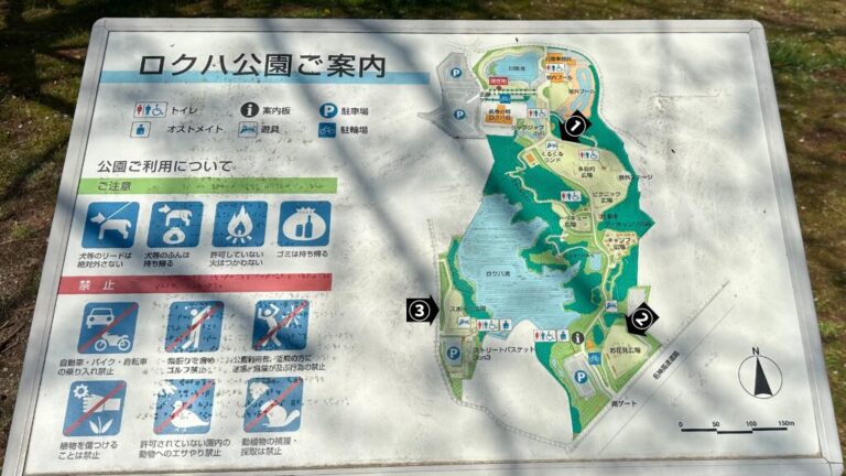 [ロクハ公園]広場別に遊具を解説！プールやじゃぶじゃぶ池もある｜滋賀県草津市 - ＆ shiga